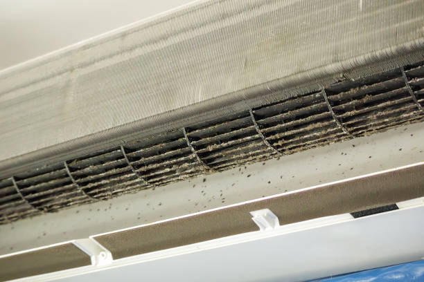Best Local Air Duct Cleaning Services  in Gamerco, NM